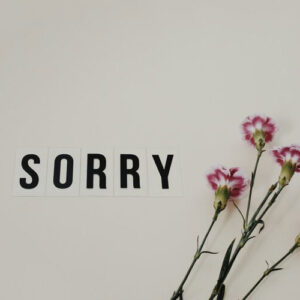 a great apology